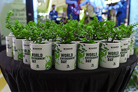 World Environment Day