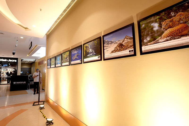 Pockets of Hope - 14th February 2026