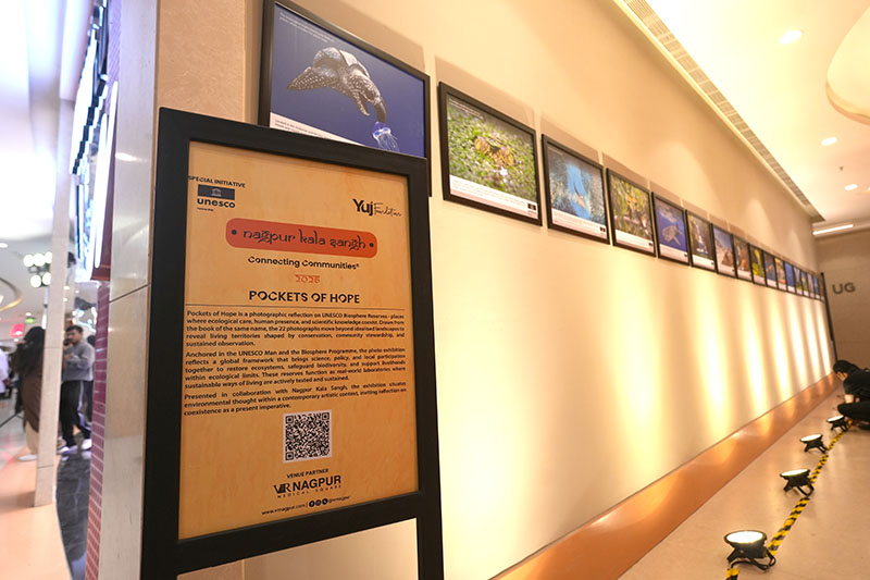 Pockets of Hope - 14th February 2026