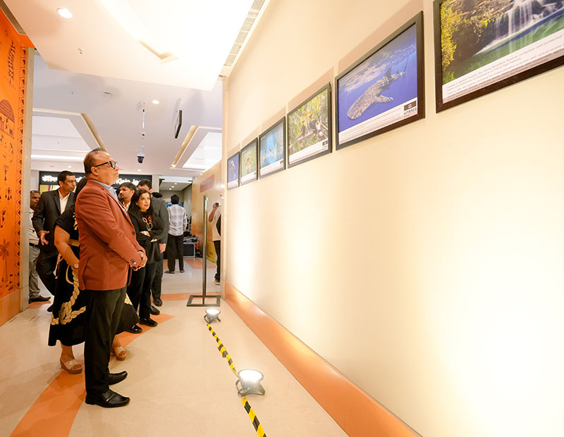 Pockets of Hope - 14th February 2026