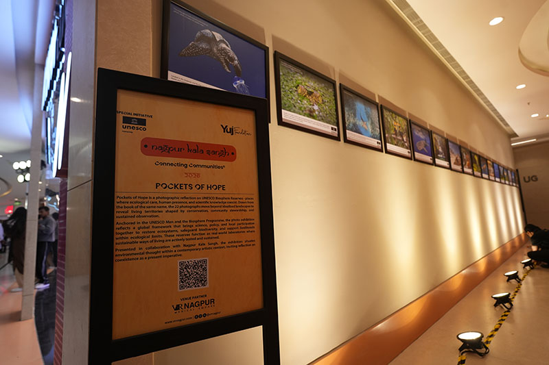 Pockets of Hope - 14th February 2026